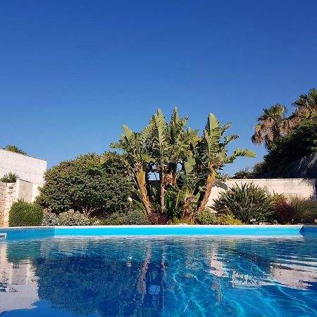 Villa Karmarea Mola di Bari Bagian luar foto